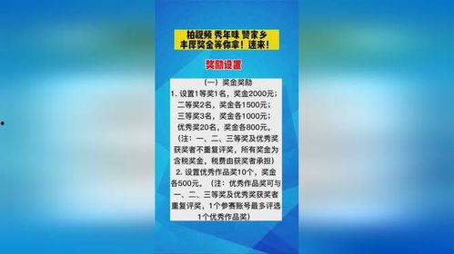 爆料视频丰厚奖金,揭秘真相，共赏巨额奖励